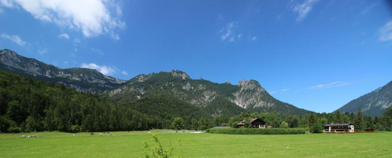 1 Gestüt Pfaffenlehen